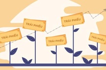 Doanh nghiệp trăm triệu “bán” trăm tỷ trái phiếu: Chuyện lạ khác