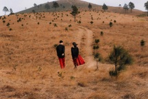 Đồi cỏ cháy đẹp lạ cách Hà Nội 130km, du khách rủ nhau check-in "mỏi tay"