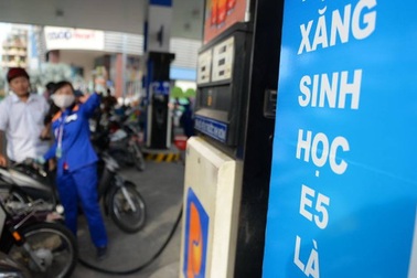 Phó Thủ tướng: Theo dõi lượng tiêu thụ 2 loại xăng để quyết việc công bố giá cơ sở