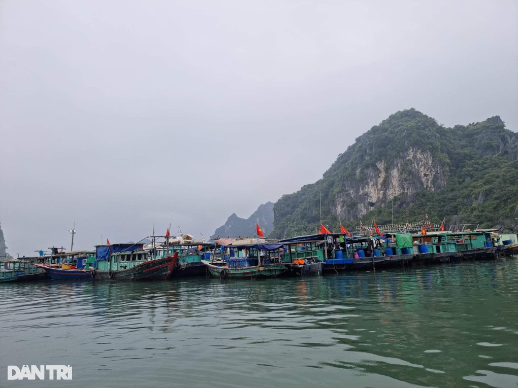 Quảng Ninh cấm biển từ 12h, Hải Phòng dừng hoạt động trên vịnh Lan Hạ - 1 Quảng Ninh cấm biển từ 12h, Hải Phòng dừng hoạt động trên vịnh Lan Hạ - 1