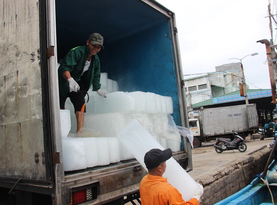 Ngư dân Bình Định hối hả ra khơi kiếm “lộc” biển, sau bão - 1 Ngư dân Bình Định hối hả ra khơi kiếm “lộc” biển, sau bão - 1