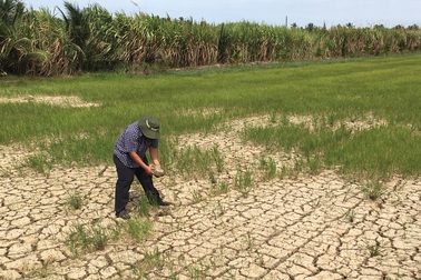 Cắt luồng giao thông đường thủy, nạo vét kênh, đắp đập… ngăn mặn