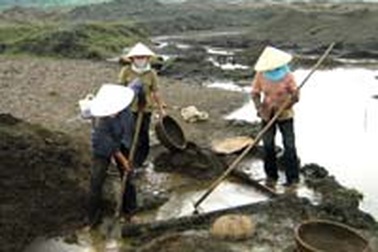 Nông dân bỏ ruộng đi làm “quặng tặc”