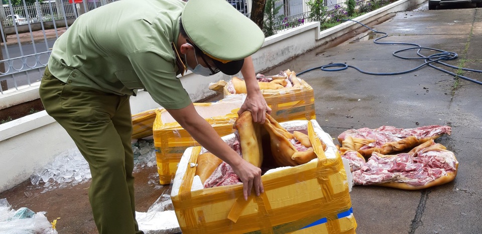 Tuồn gần 3 tạ thịt lợn thối từ Quảng Ngãi vào Đắk Lắk tiêu thụ - 2 Tuồn gần 3 tạ thịt lợn thối từ Quảng Ngãi vào Đắk Lắk tiêu thụ - 2