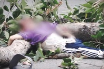 Nạn nhân bị nhánh cây đè ở Công viên Tao Đàn có được bồi thường?