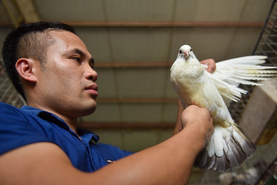 Bỏ nghề lập trình viên về làm nông dân nuôi chim thu 3 tỷ đồng/năm - 2 Bỏ nghề lập trình viên về làm nông dân nuôi chim thu 3 tỷ đồng/năm - 2