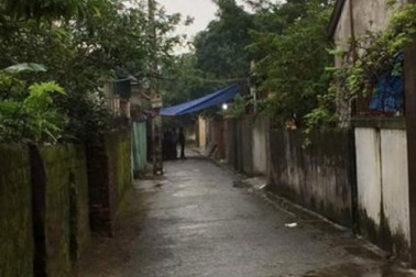 Nam thanh niên mắc bệnh tim bị ong đốt tử vong