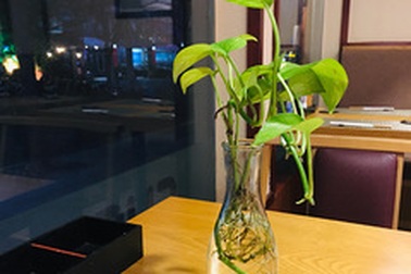 Trở về sau chuyến du lịch, bà chủ tá hỏa gặp giúp việc khoe thân trong phòng ngủ