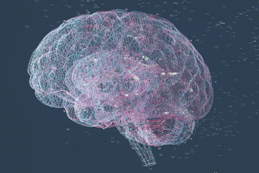 Trọng lực tác động lên não người như thế nào?