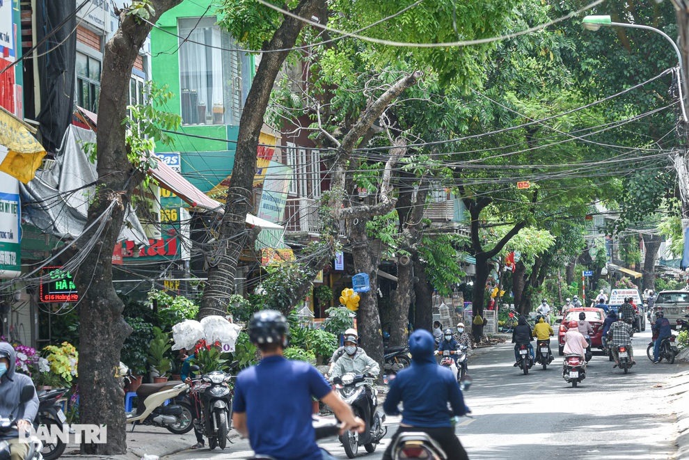 Những con đường giúp giải nhiệt giữa ngày nắng nóng ở Hà Nội - 9 Những con đường giúp giải nhiệt giữa ngày nắng nóng ở Hà Nội - 9