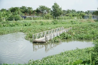 Bốn cây cầu bị nước cuốn trôi hết 3 cây, người dân ở TPHCM đi lại ra sao