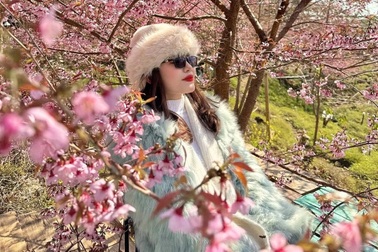 Lan truyền thông tin nghỉ 4 ngày Tết Dương lịch 2026: Bộ Nội vụ lên tiếng