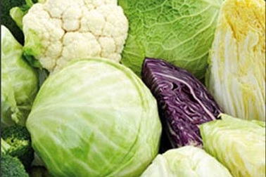 Thực phẩm tốt - xấu cho người bệnh ung thư