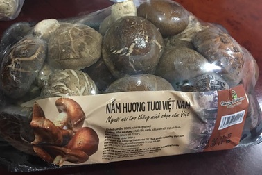 Sợ dính hàng "bẩn", siêu thị đồng loạt cấm cửa nấm hương