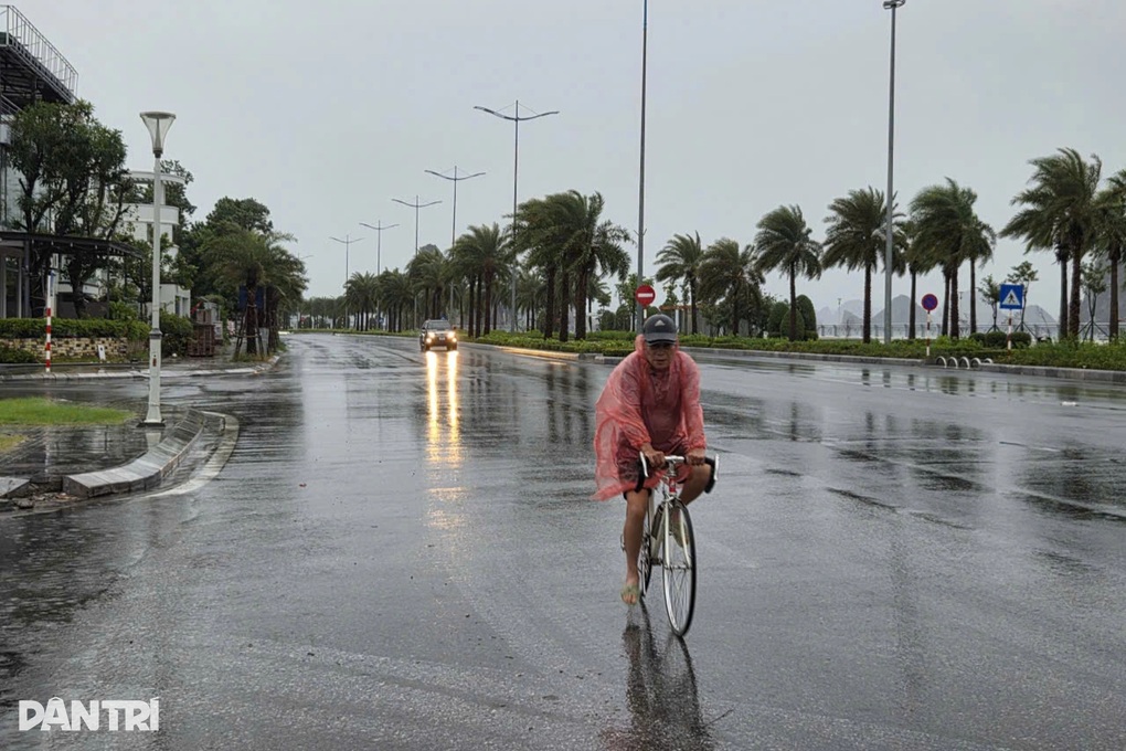 Bão Matmo suy yếu, Quảng Ninh sáng nay mưa gió nhẹ - 2 Bão Matmo suy yếu, Quảng Ninh sáng nay mưa gió nhẹ - 2