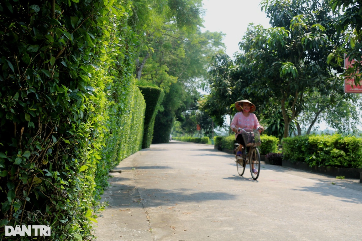 Độc đáo những cổng nhà tuyệt đẹp từ cây duối cổ thụ - 8 Độc đáo những cổng nhà tuyệt đẹp từ cây duối cổ thụ - 8