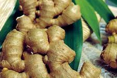 Bài thuốc trị bệnh cước do lạnh 