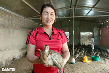 Người phụ nữ khởi nghiệp thành công với loài chim đuôi dài hơn người