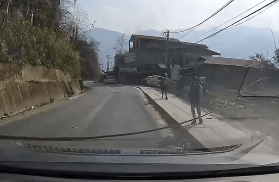 Увидев упавшее дерево посреди дороги в Сапе, водитель был благодарен за поступок западного туриста - 1 Thấy cây đổ giữa đường ở Sapa, khách Tây có hành động khiến tài xế cảm kích - 1