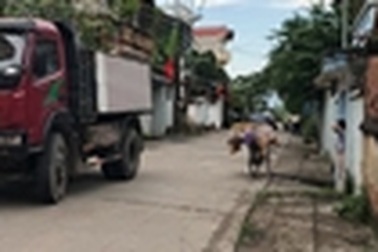 Nữ nhân viên tạp vụ sân bay Nội Bài bị chồng sát hại