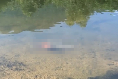 Phát hiện thi thể bé trai sau một ngày mất tích