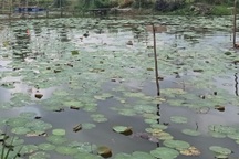 Điều tra vụ nam sinh lớp 9 nghi bị đuối nước tại điểm du lịch