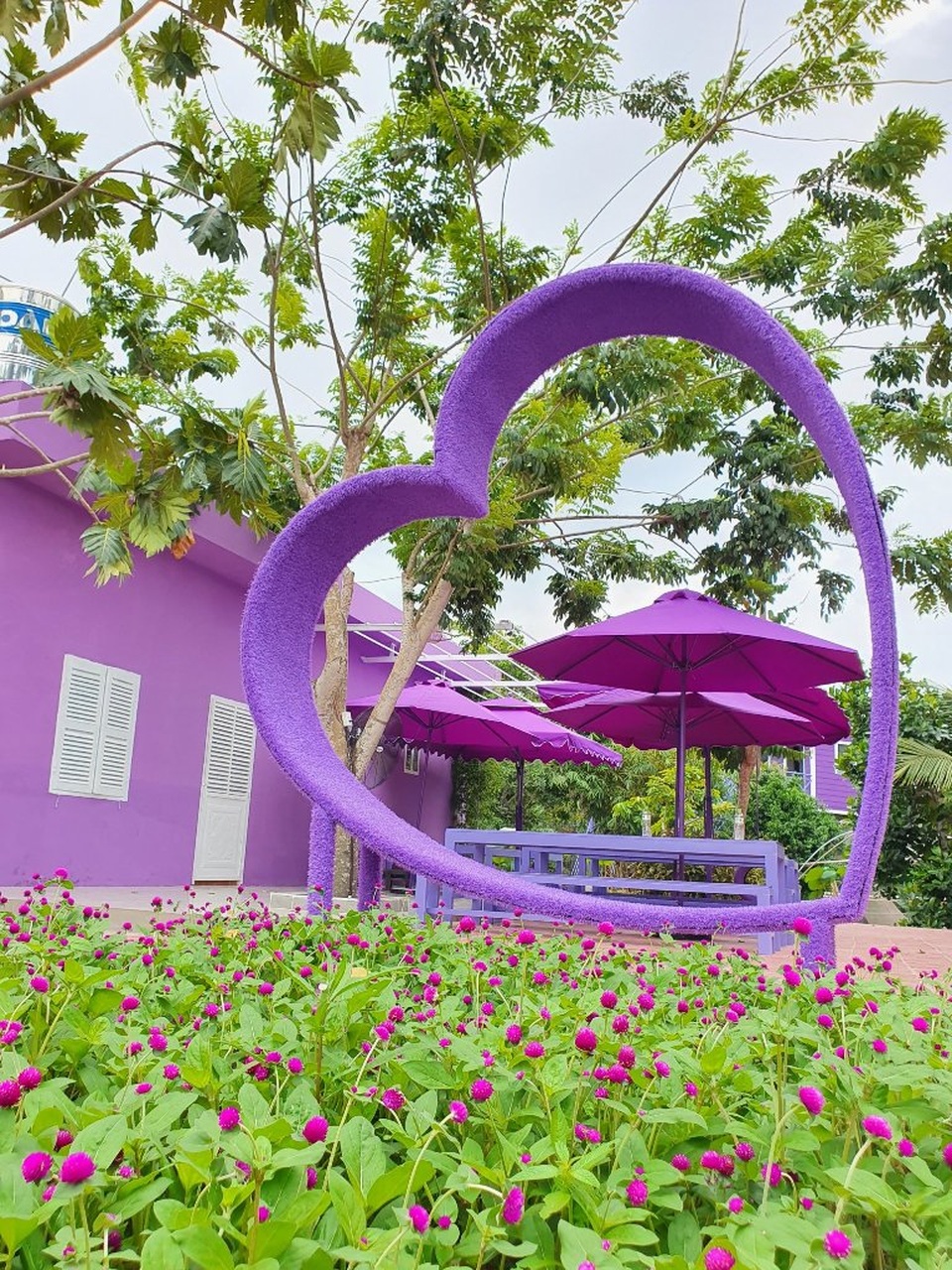 Căn nhà màu tím độc nhất miền Tây - 4 Căn nhà màu tím độc nhất miền Tây - 4