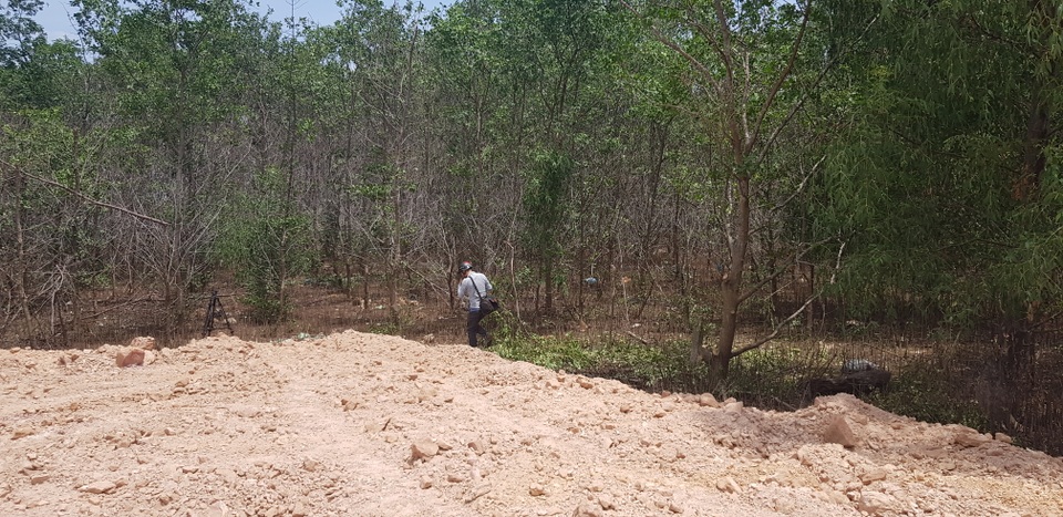 Chặn đứng việc tự ý chặt rừng ngăn mặn để san mặt bằng tại Quảng Trị - 1 Chặn đứng việc tự ý chặt rừng ngăn mặn để san mặt bằng tại Quảng Trị - 1