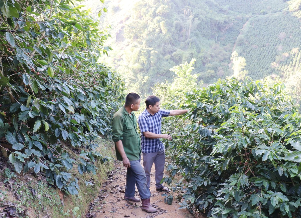 Sơn La: Dự kiến đến hết năm 2025, tỷ lệ hộ nghèo còn 7,89% - 1