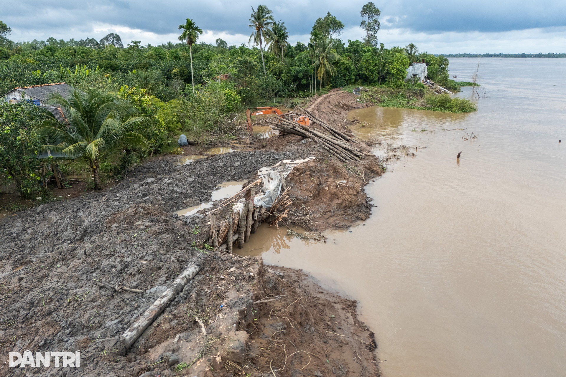 Nhiều nhà ven sông ở miền Tây bị nhấn chìm do sạt lở - 7 Nhiều nhà ven sông ở miền Tây bị nhấn chìm do sạt lở - 7