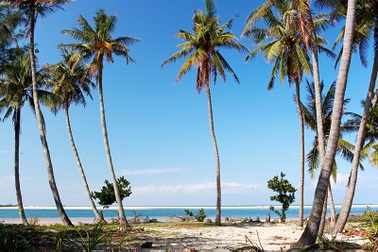 Đề xuất mở tour du lịch Cù Lao Chàm - Tam Hải - Lý Sơn