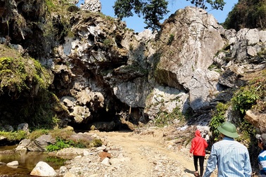 Có hay không doanh nghiệp phá hàng trăm héc ta rừng để xây dựng khu du lịch?