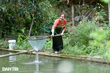 Người Thái ở bản vùng cao Thanh Hóa thoát nghèo nhờ du lịch