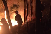 Suốt đêm dập đám cháy rừng