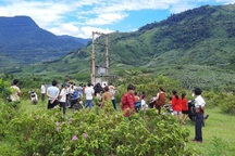 Học sinh lớp 5 bị điện giật tử vong khi trèo trạm điện bắt chim