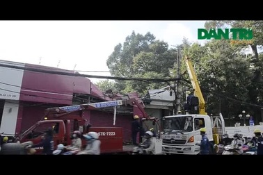 Cây cổ thụ đổ đè lên cửa hàng ở trung tâm TPHCM