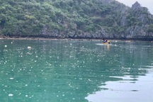 Khách phàn nàn vịnh Hạ Long đầy rác, thu phí tới 600.000 đồng là đắt đỏ?