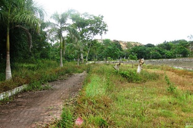 Chạnh lòng trước khu di tích mộ Trần Phú