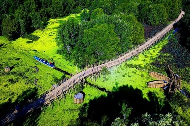 Rừng tràm Trà Sư - Tuyệt cảnh mùa nước nổi miền Tây