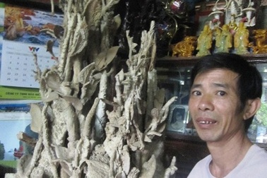 Những vật hóa thạch triệu đô tại Việt Nam