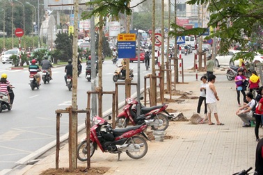 Hà Nội nghiên cứu phần mềm quản lý cây xanh