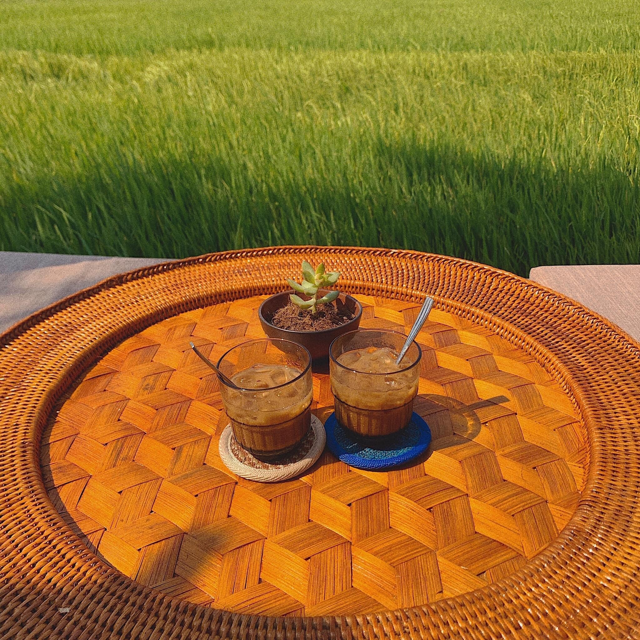 2 quán cà phê view cánh đồng bất tận, quanh năm thơm mùi lúa ở Hội An - 4 2 quán cà phê view cánh đồng bất tận, quanh năm thơm mùi lúa ở Hội An - 4