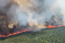 iPhone cứu mạng nhóm phụ nữ đi leo núi bị mắc kẹt giữa đám cháy rừng