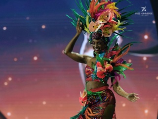 Màn biến hình độc lạ của người đẹp Na Uy gây sốt Hoa hậu Hoàn vũ 2025 - 9