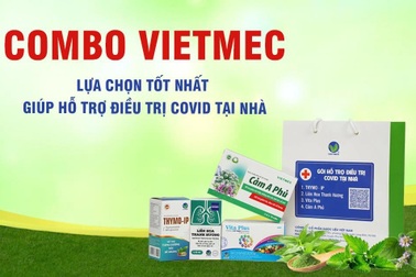 Thực hư xuyên tâm liên có tác dụng hỗ trợ điều trị Covid-19?