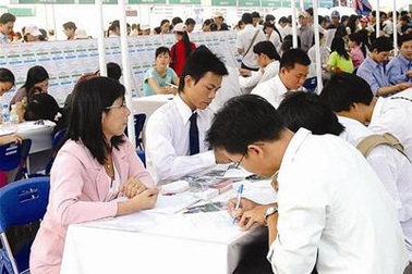 Mới ra trường được cam kết việc làm 200 triệu/năm