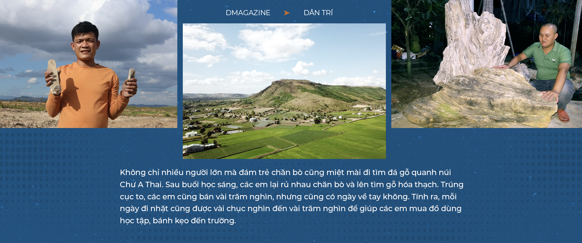 Bí ẩn về vương quốc gỗ hóa thạch trên cao nguyên Gia Lai - 7 Bí ẩn về vương quốc gỗ hóa thạch trên cao nguyên Gia Lai - 7
