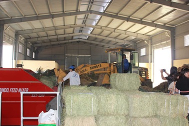 Nâng cao sản lượng và chất lượng sữa bằng TMR