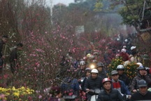 Thêm bộ ngành "chọn" nghỉ Tết Nguyên đán 9 ngày