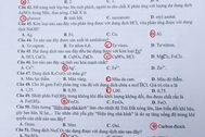 Đáp án gợi ý đề Hóa học kỳ thi THPT quốc gia 2017, mã đề 206
